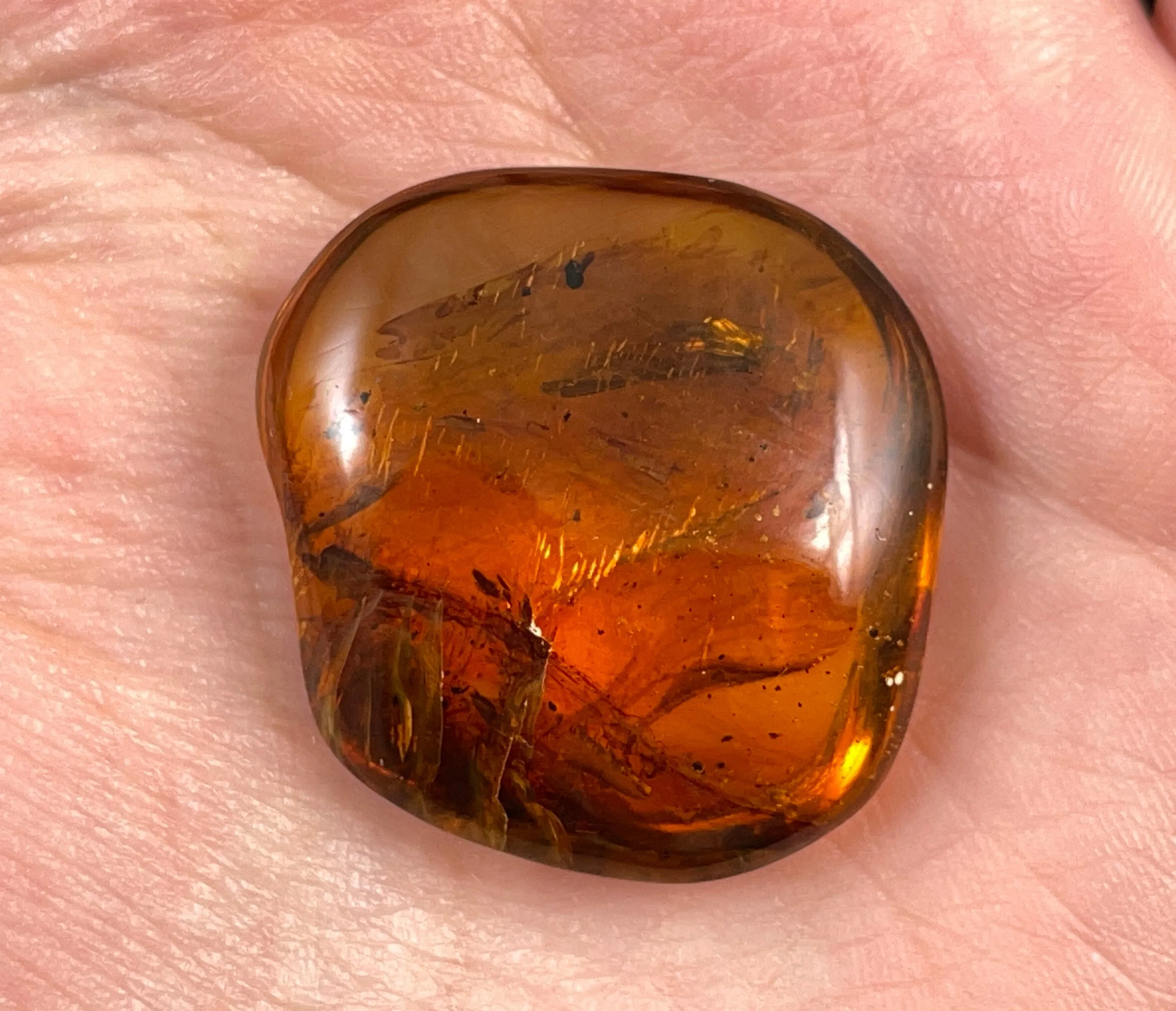 AMBER Stone - Insect Inclusion, Real Fossil - Tumbled Stones, Tumbled Crystals, Healing Crystals and Stones, 52755