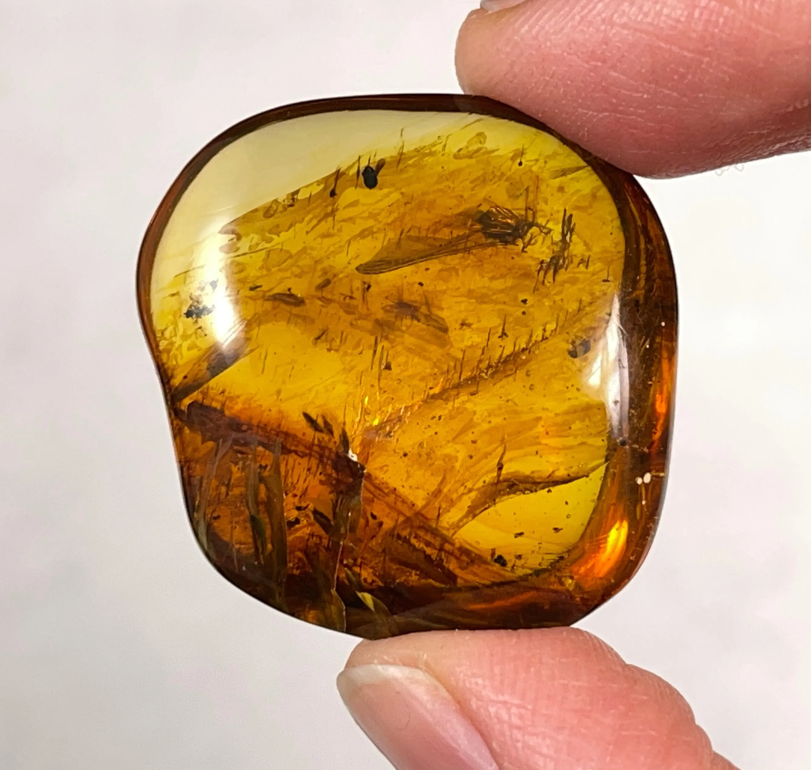 AMBER Stone - Insect Inclusion, Real Fossil - Tumbled Stones, Tumbled Crystals, Healing Crystals and Stones, 52755