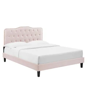 Amber Tufted Performance Velvet King Platform Bed By Modway - MOD-6786 - Pink