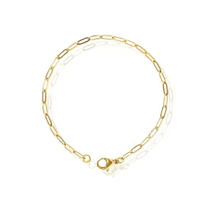 Mini Paperclip Chain Anklet in Gold and Silver