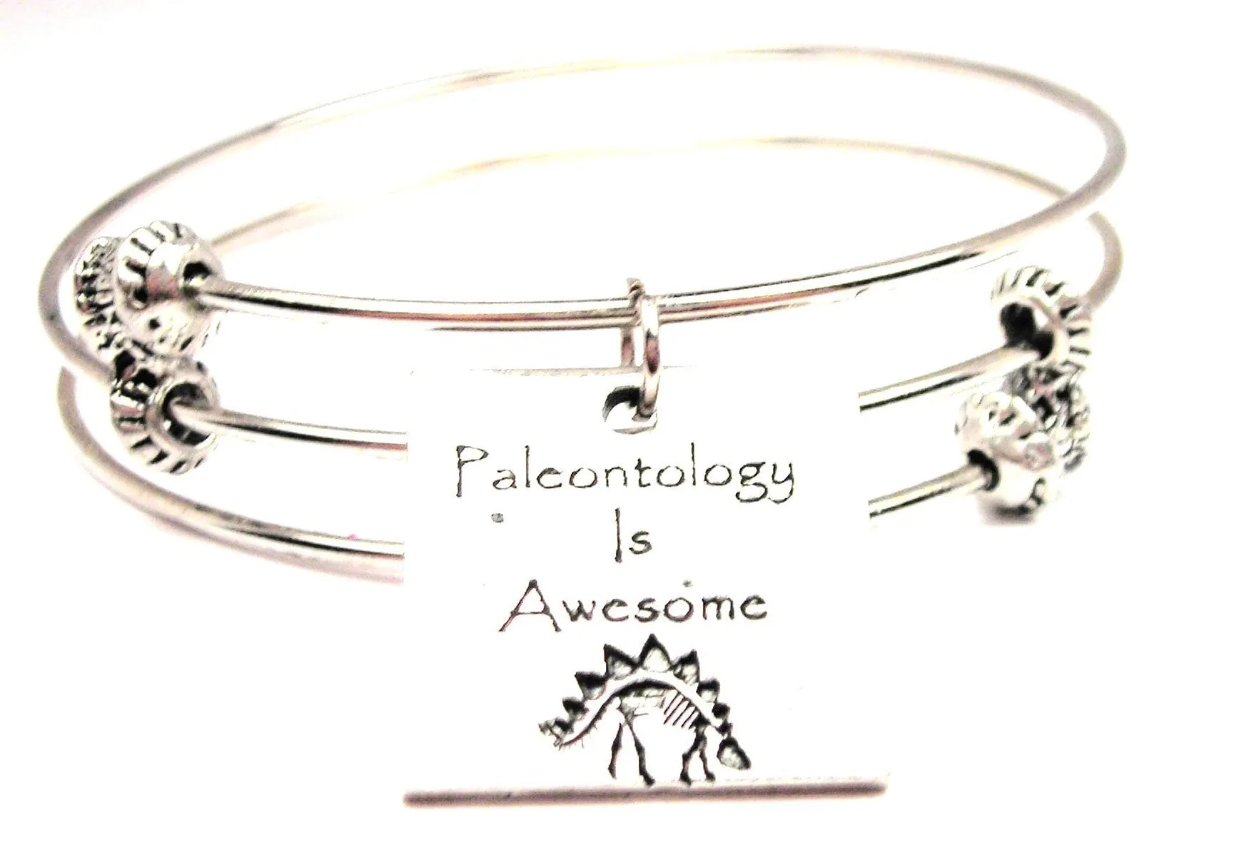 Paleontology Is Awesome Triple Style Expandable Bangle Bracelet